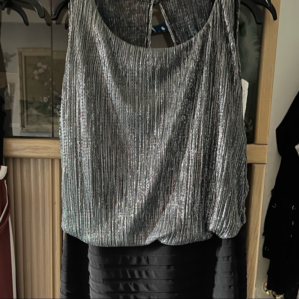 Sliver/Black Blouson Dress